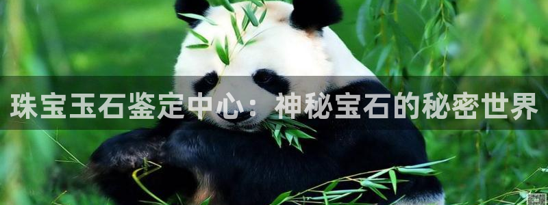 天宏娱乐实f力803466