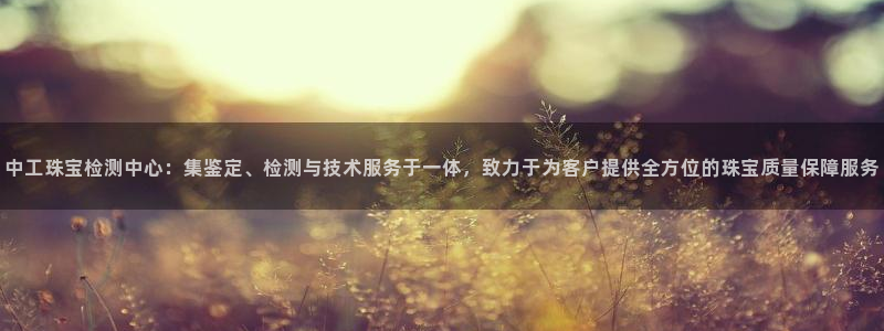 天宏娱乐军叔