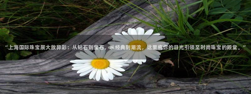 天宏娱乐陈叔