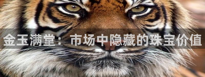 天宏娱乐指尖自