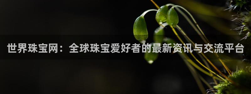 天宏娱乐集团董事长