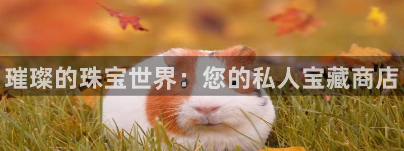 天宏娱乐国际会所