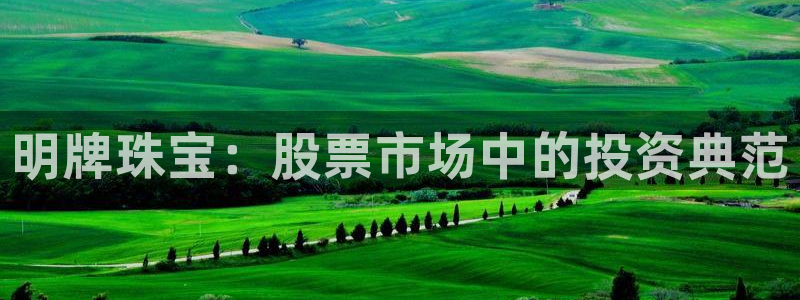 天宏娱乐公会