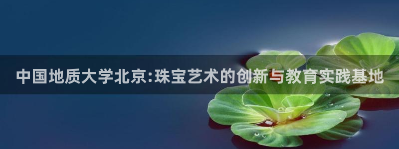 天亿娱乐宏发团队成员