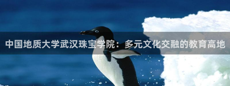 天宏娱乐平台登陆