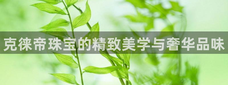 天宏娱乐b 判官