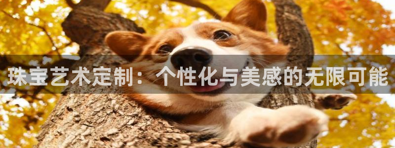 天宏娱乐青峰