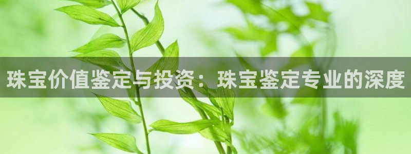 天宏娱乐天跃传媒招聘