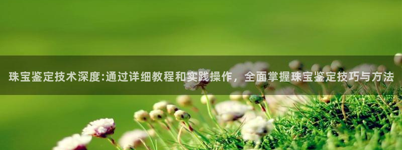 广州宏创天美娱乐文化