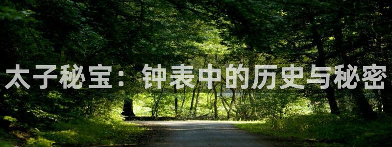 天宏娱乐丨金手指17