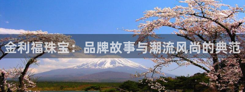 天宏娱乐q31.661