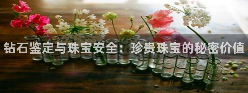 天宏娱乐公会