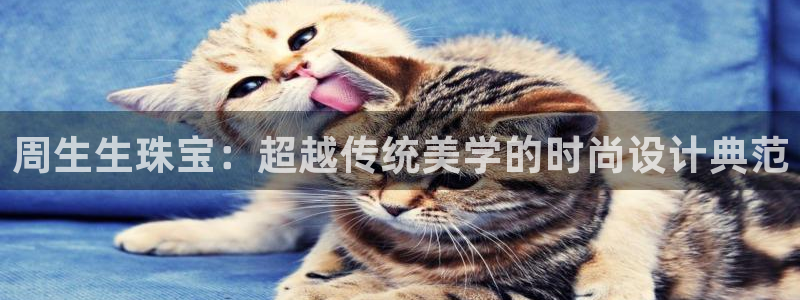 天宏娱乐d 判官