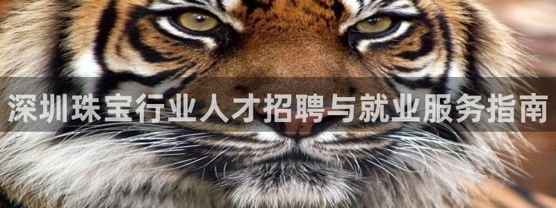 天亿娱乐宏发