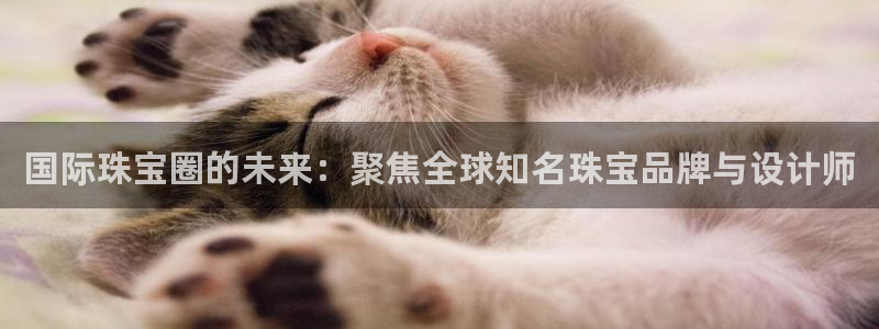 天宏娱乐小号怎么玩视频
