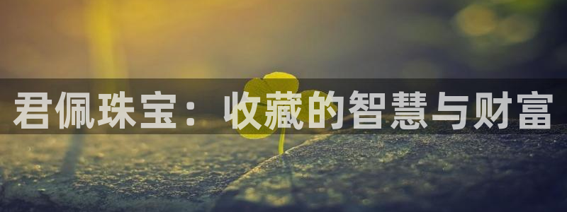 宏天娱乐官网