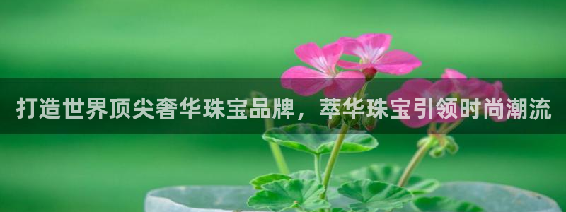 天宏娱乐招商部电话