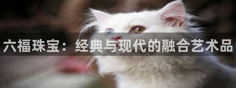 天宏娱乐乐天跃娱乐