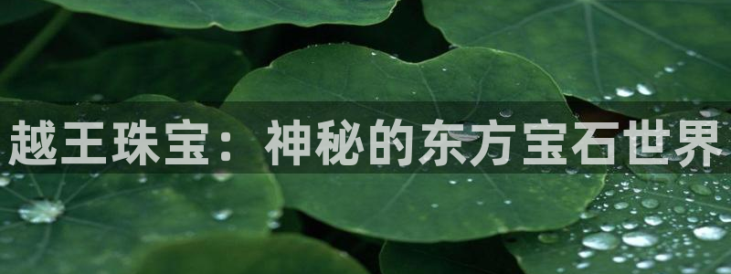 西安天宏娱乐会所地址