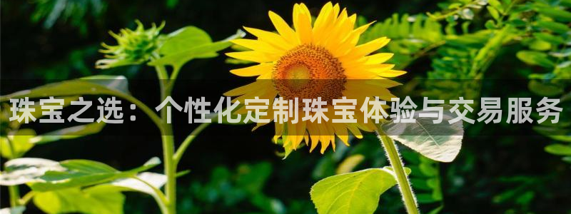西安天宏娱乐直播间