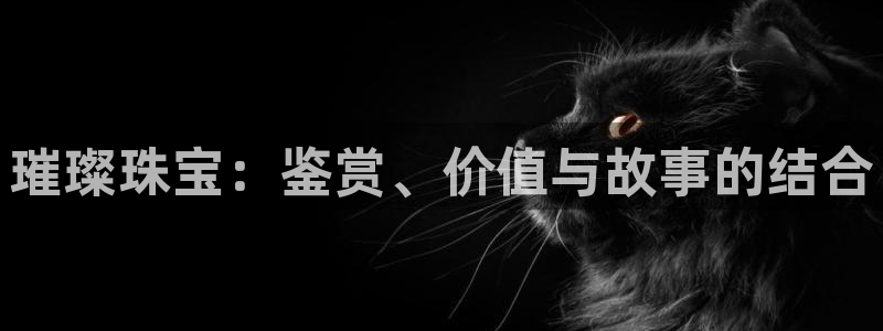 扬州天宏娱乐公司