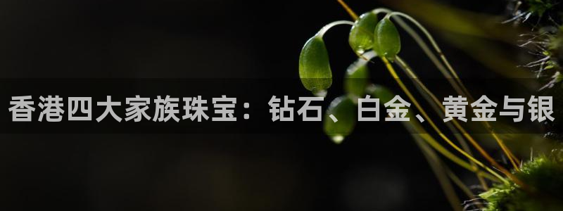 天宏娱乐豆豆