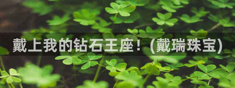 天宏娱乐老板是谁