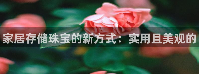 天宏娱乐 网址