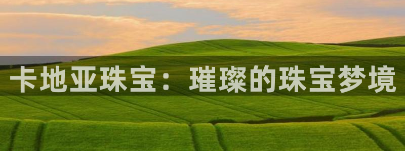 天宏娱乐k 判官