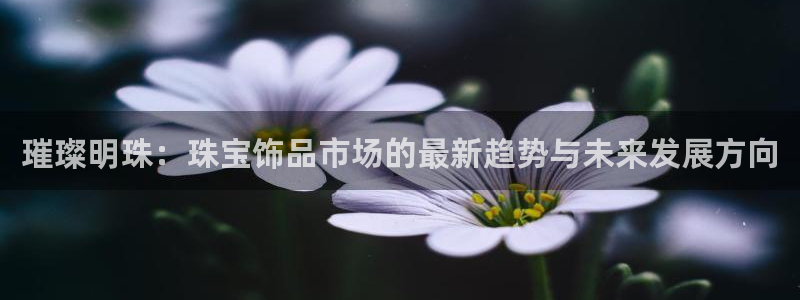 天宏娱乐直播间在哪