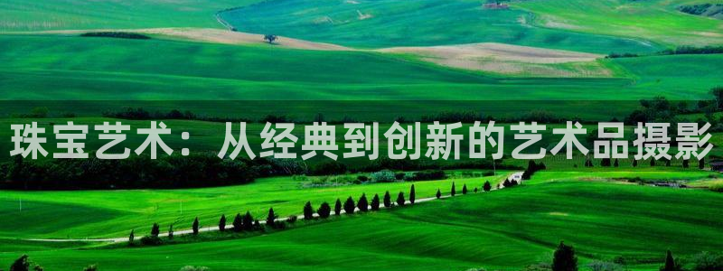 天宏娱乐招商