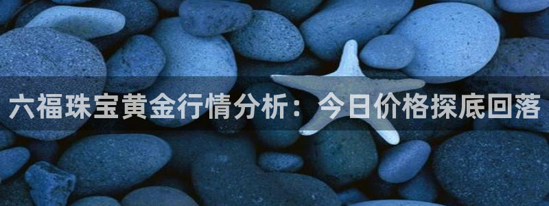 东莞天宏娱乐