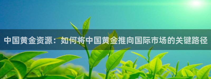 天宏娱乐怎样赚钱的啊