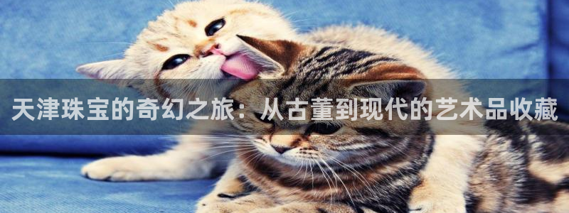 成都天宏娱乐会所电话