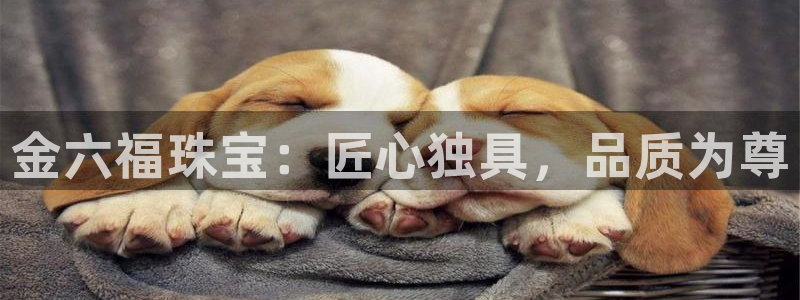 天宏娱乐小号官网入口