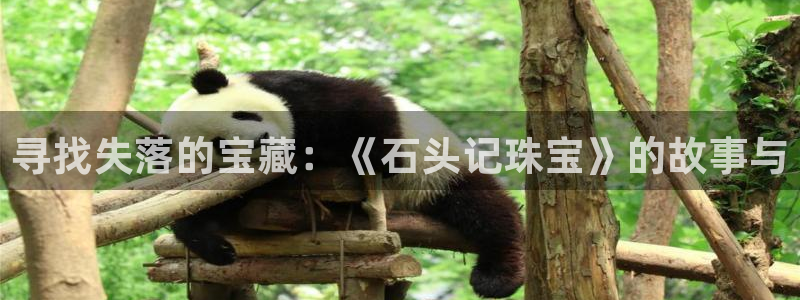 天宏娱乐是干嘛的
