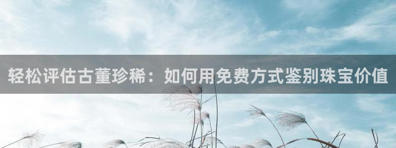 裕宏娱乐林天俊简介