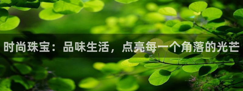 天宏娱乐小刘叔