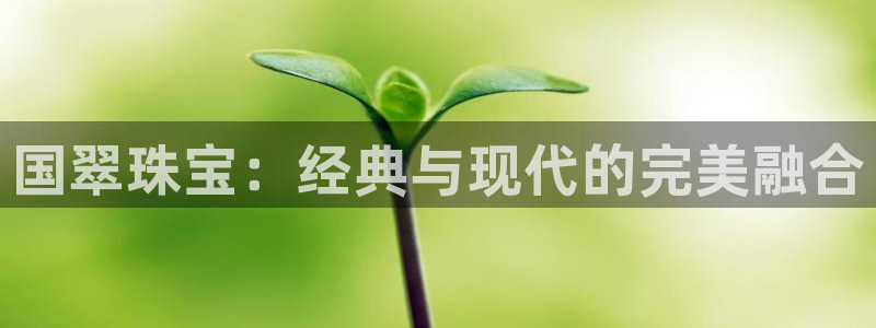 天宏娱乐是国企吗：国翠珠宝：经典与现代的完美融合