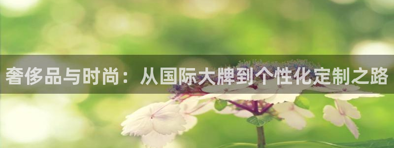 天宏娱乐有明星么