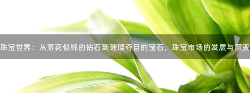 天宏娱乐直播在线观看高清