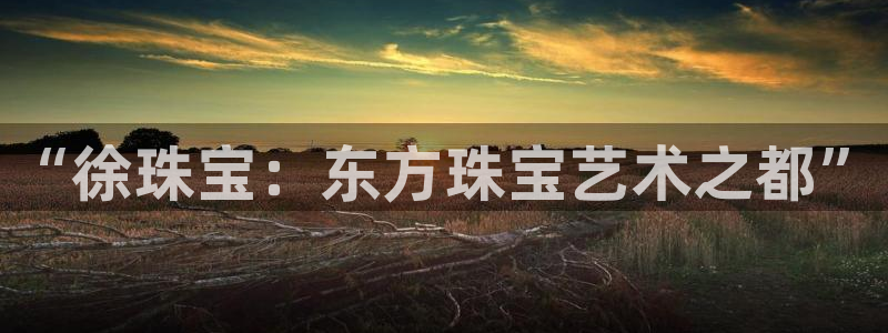 天宏娱乐3：“徐珠宝：东方珠宝艺术之都”