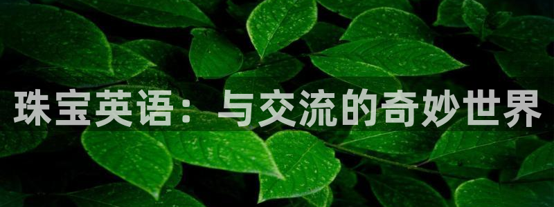 天宏娱乐时时彩