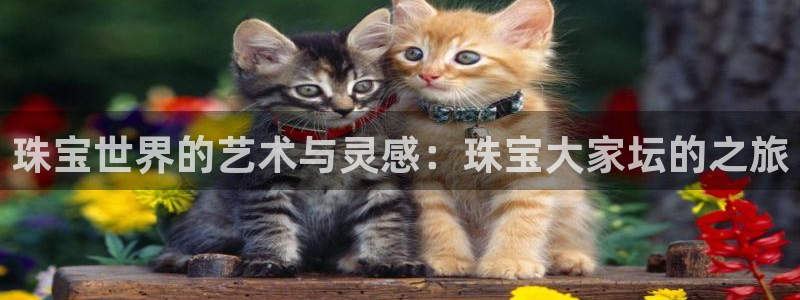 天宏娱乐家