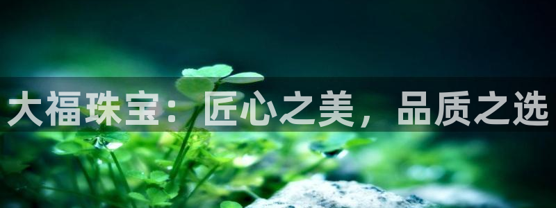 天宏娱乐666直播