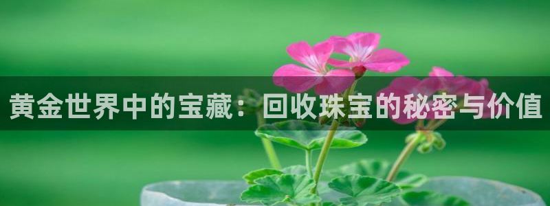 株洲天宏娱乐会所地址
