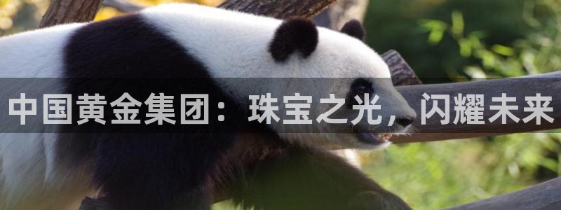 天宏娱乐怎样赚钱的