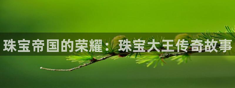 天宏娱乐 22376：珠宝帝国的荣耀：珠宝大王传奇故事