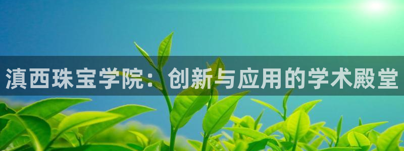 天宏娱乐男神季叔：滇西珠宝学院：创新与应用的学术殿堂