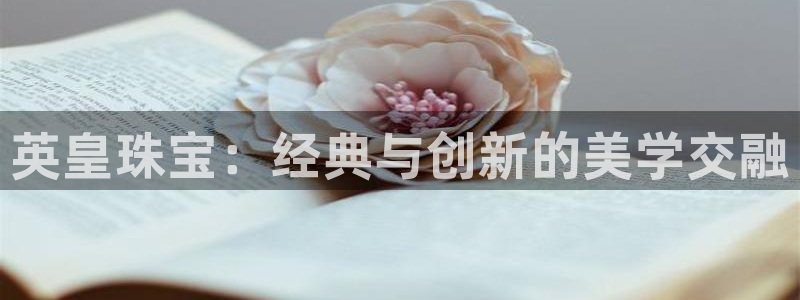 天宏娱乐创始人